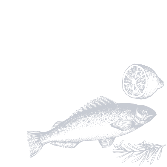 Illustration of fish/seafood