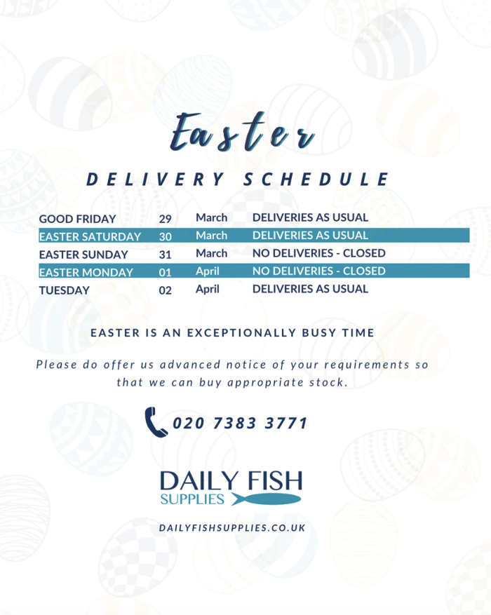 Happy Easter Holidays From Daily Fish Supplies Daily Fish Supplies