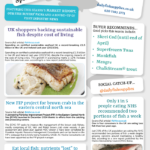 Spring catch-up cover 25
