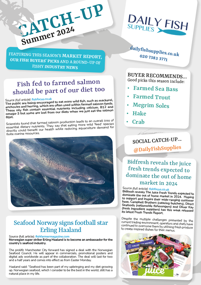 Fish supplies near me online