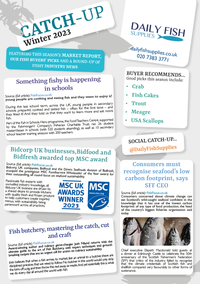 Winter Catch-Up  Fish & seafood market report 2023 - Daily Fish